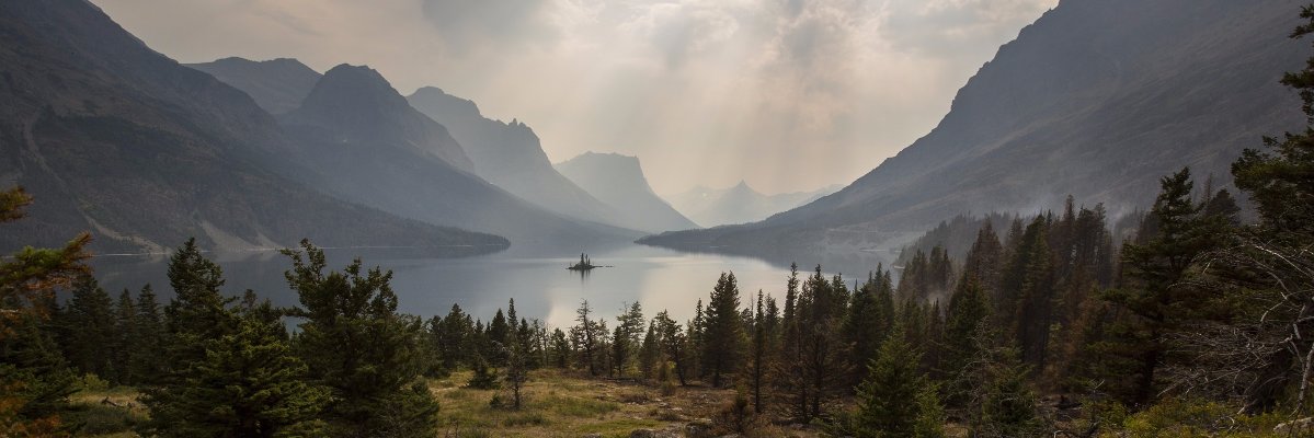 Michael Lee Morrison banner