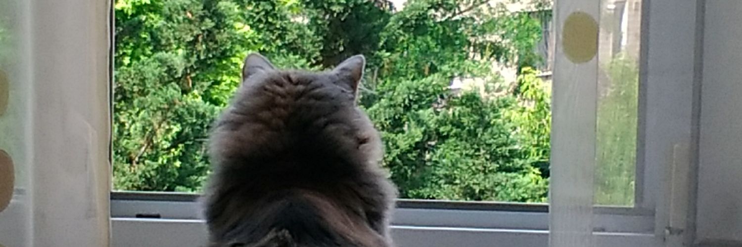 aysunnkoca's profile banner image