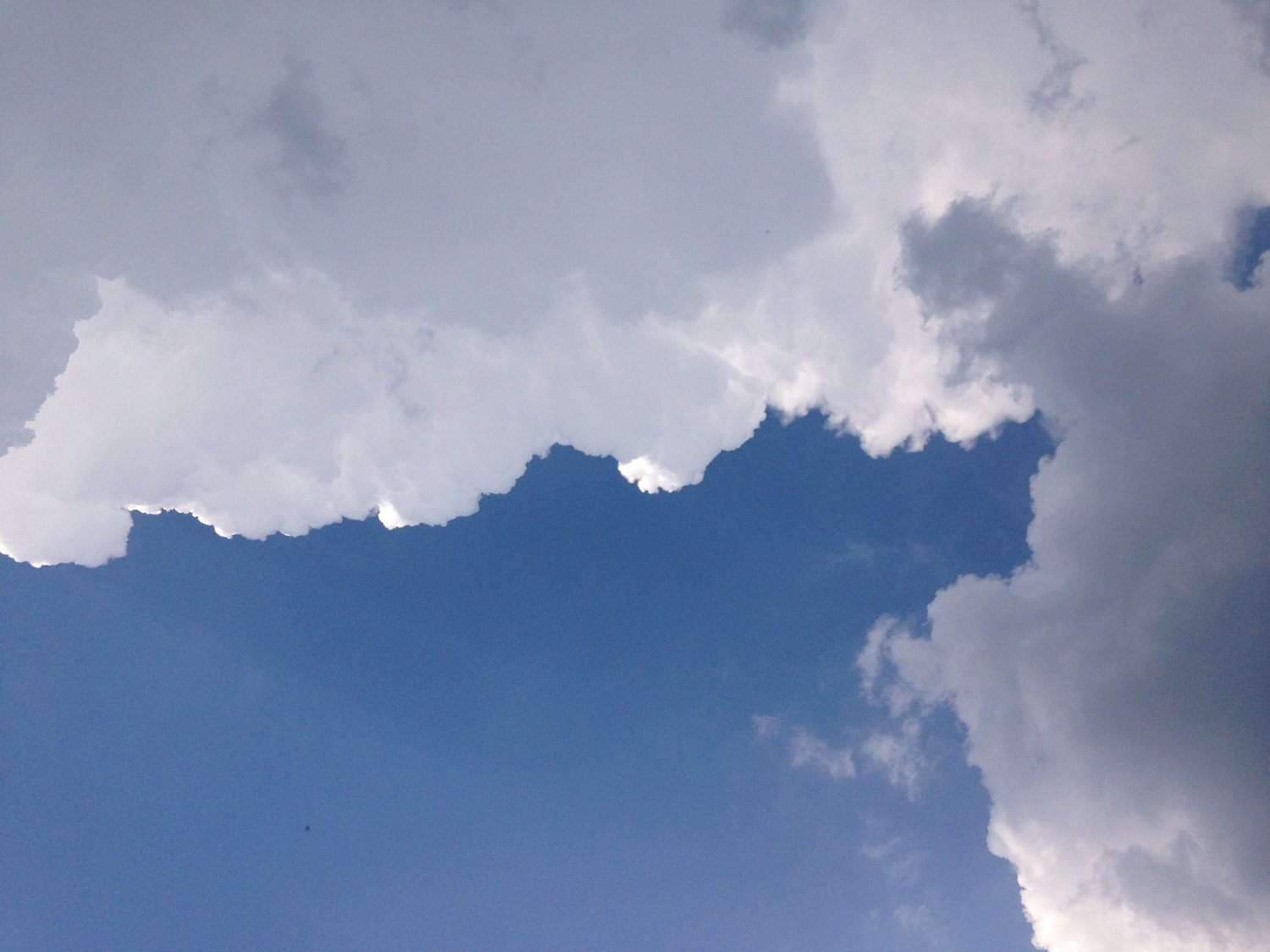 Constantin Trinks banner