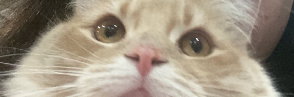 beccaa_lernerr's profile banner image