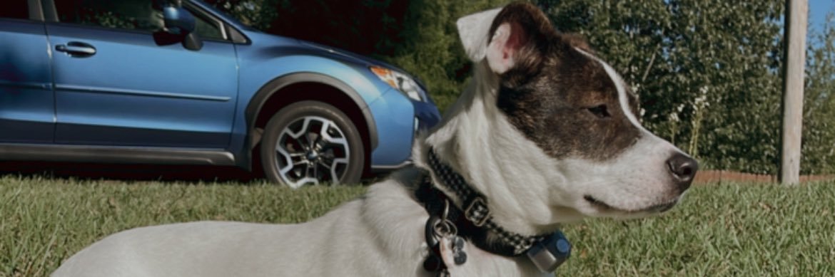 Taylor Bronowicz banner