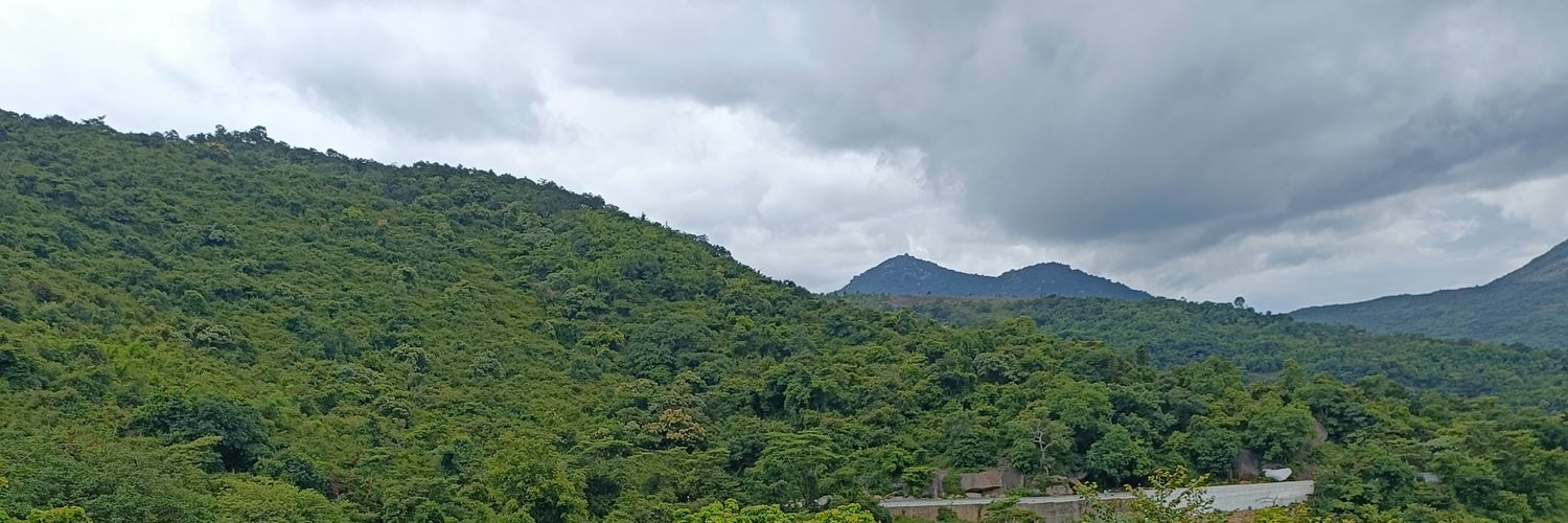 Naanu1318's profile banner image