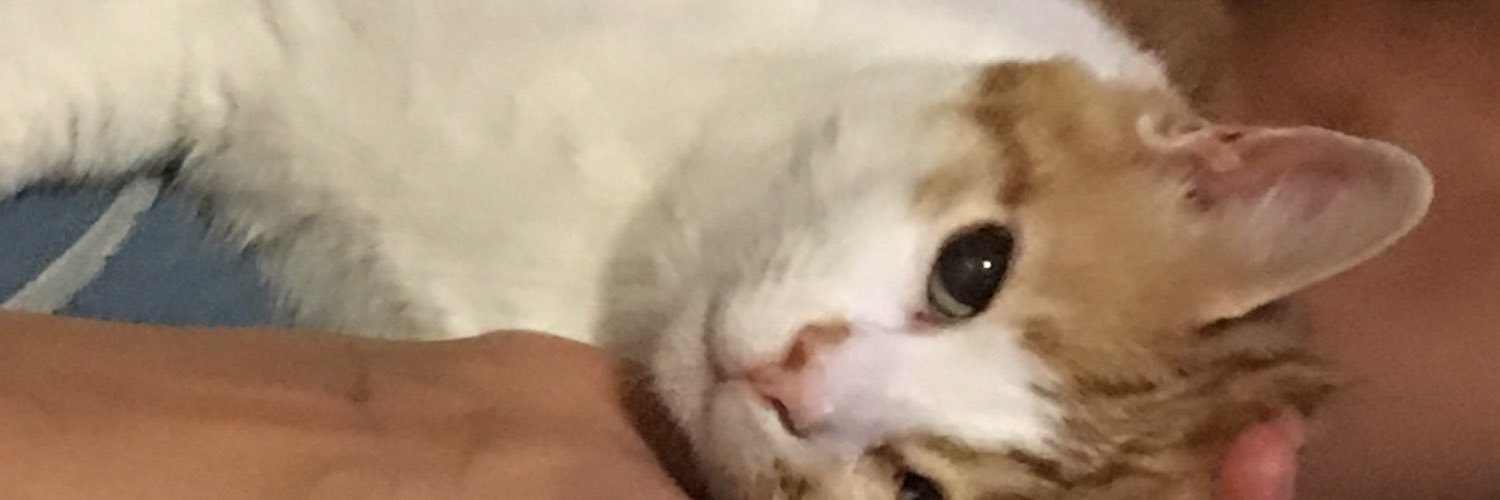 16murvet's profile banner image