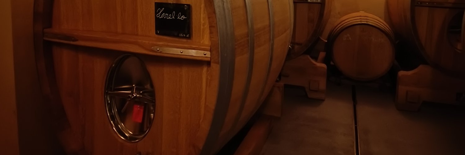 Sergi Cea - Wines and B2B banner