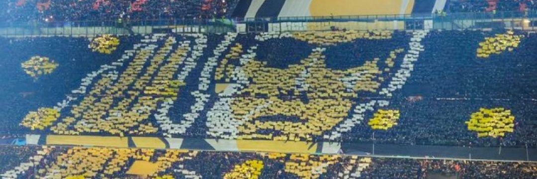 AlexanderdeRoy banner