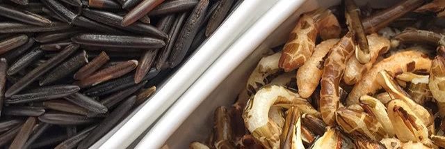 Wild Rice Guys banner