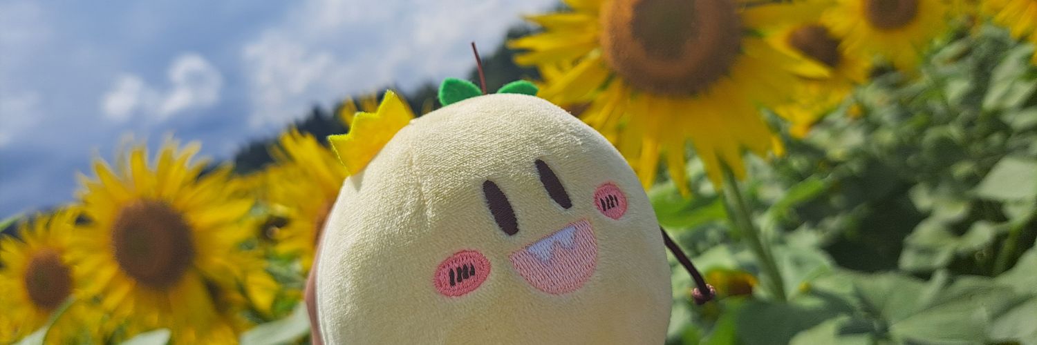hirotoco1005's profile banner image