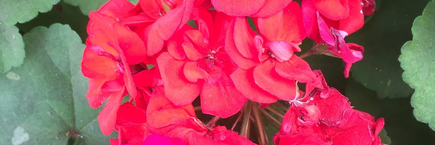 msaprilmae's profile banner image