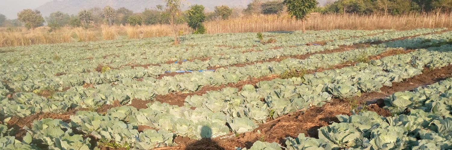 Maseko the Farmer banner