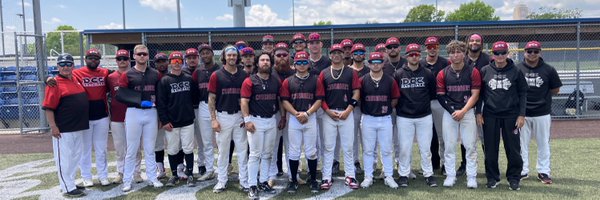 DCCBaseball2010 Profile Banner