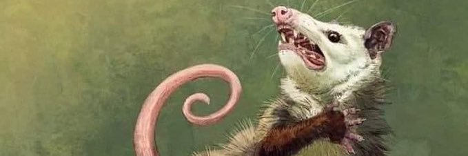 localbirdlady's profile banner image
