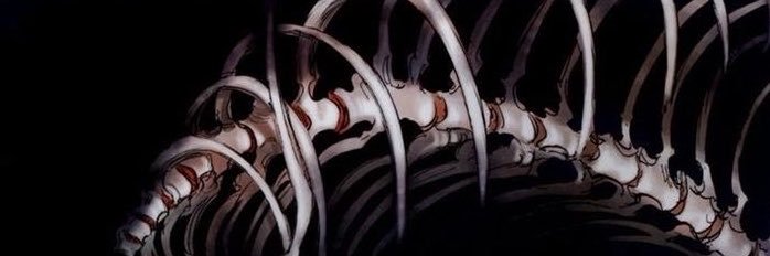 nevrwashere's profile banner image