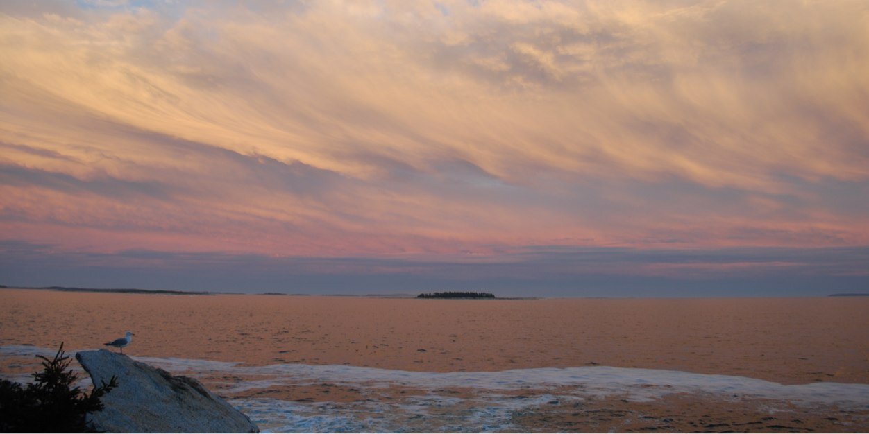rselvers's profile banner image