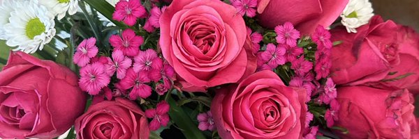 zurisplash Profile Banner