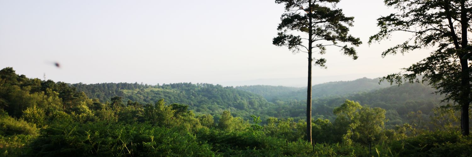 JameseyJ's profile banner image