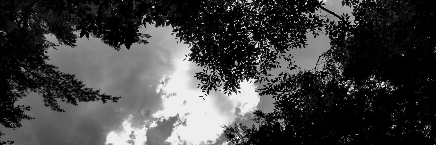 eldritchcatb0y's profile banner image