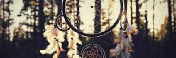 ___Divulga Profile Banner