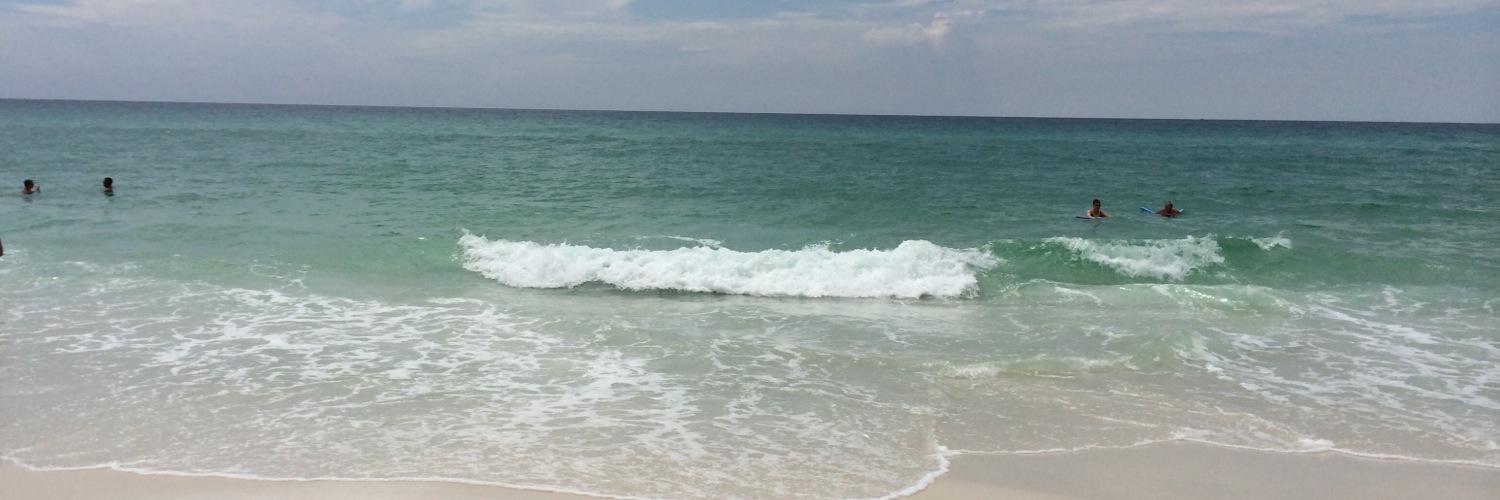 annpadgett's profile banner image