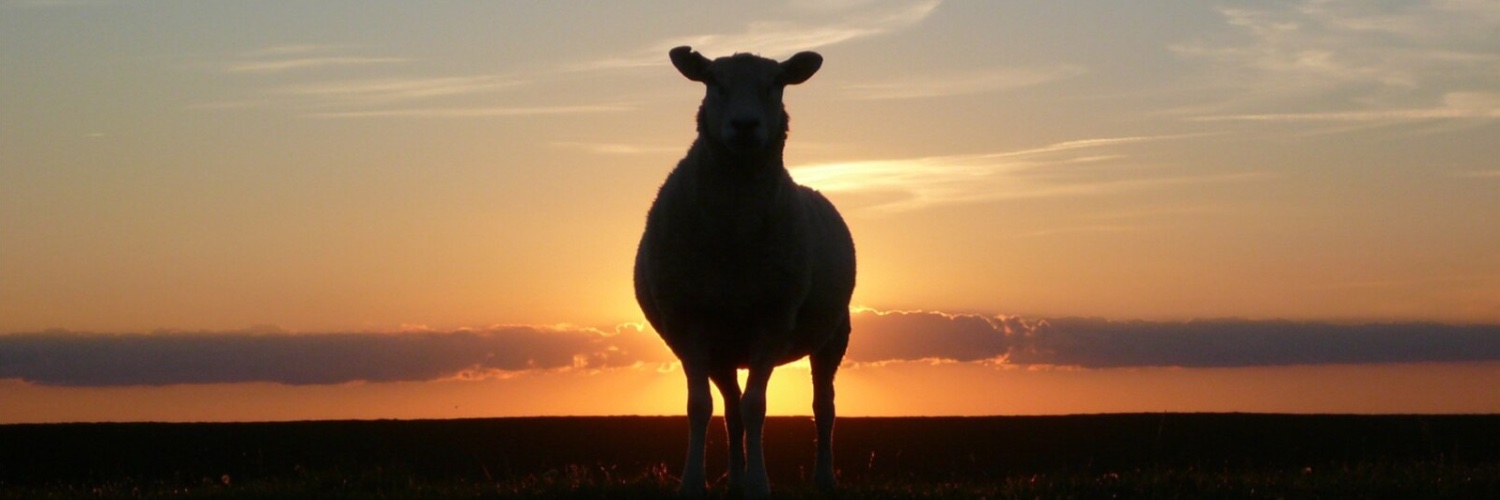 TheBlackSheep1776 banner