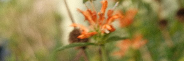 _andychung Profile Banner