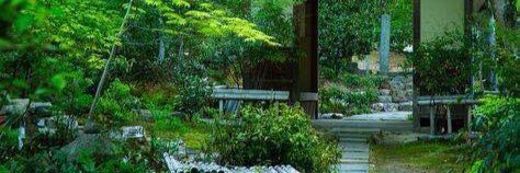 aspicacity's profile banner image
