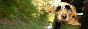 ayyhoeee's profile banner image