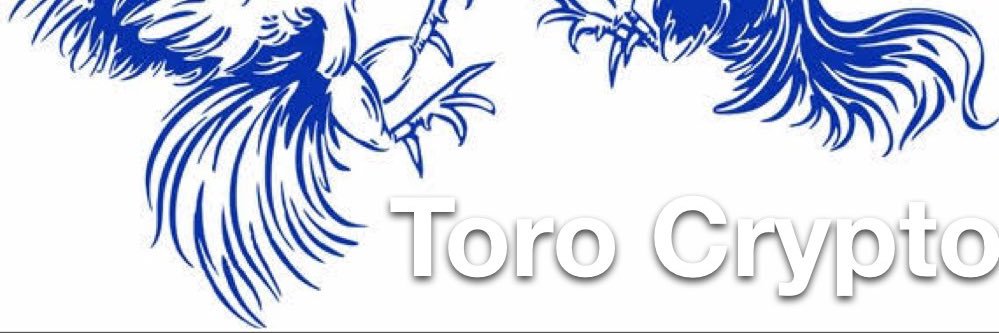 ToroCrypto banner