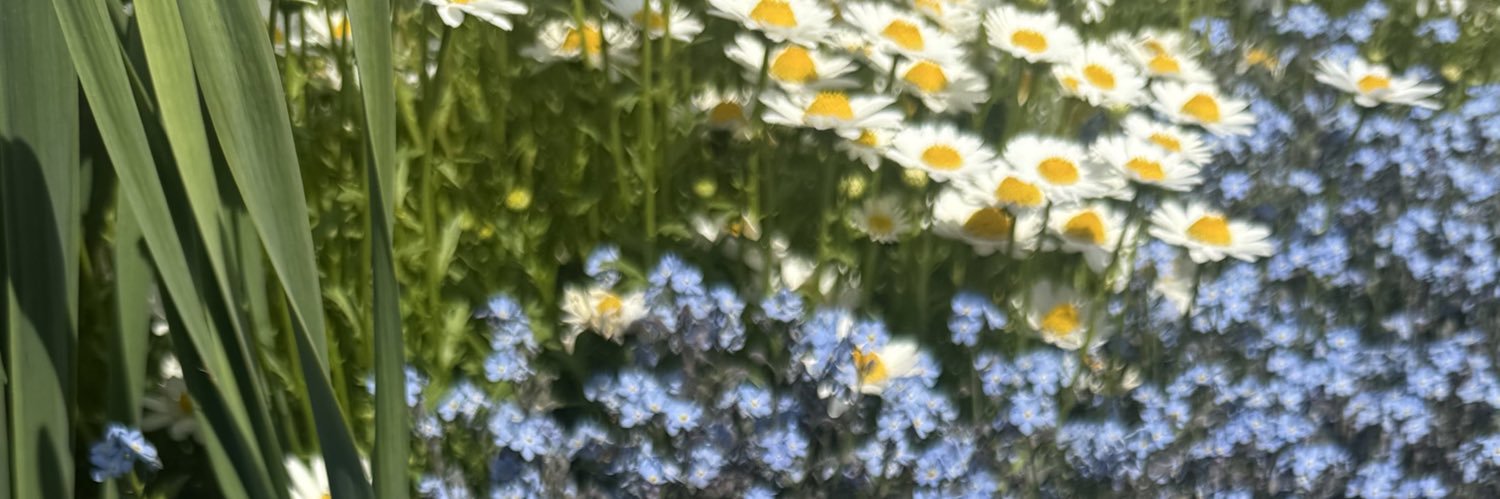 Oree banner