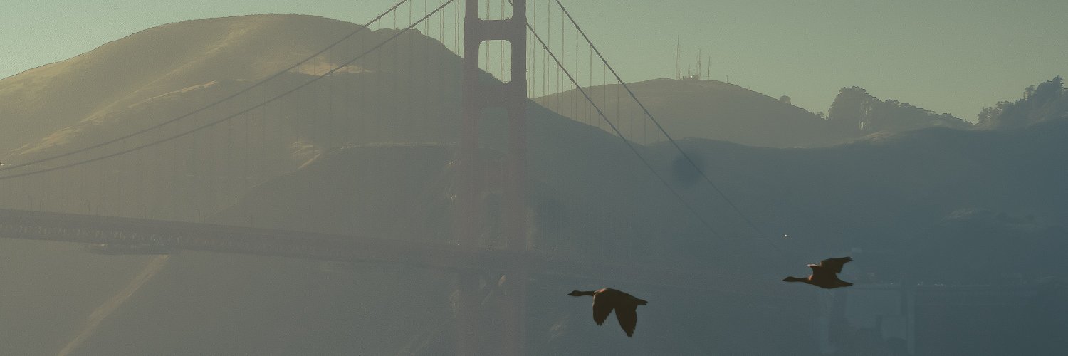 Brian Munn banner