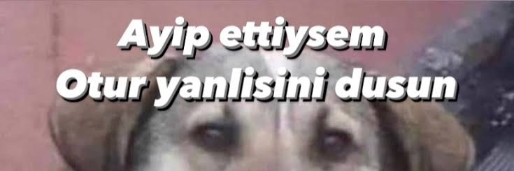 bosverinyaa's profile banner image