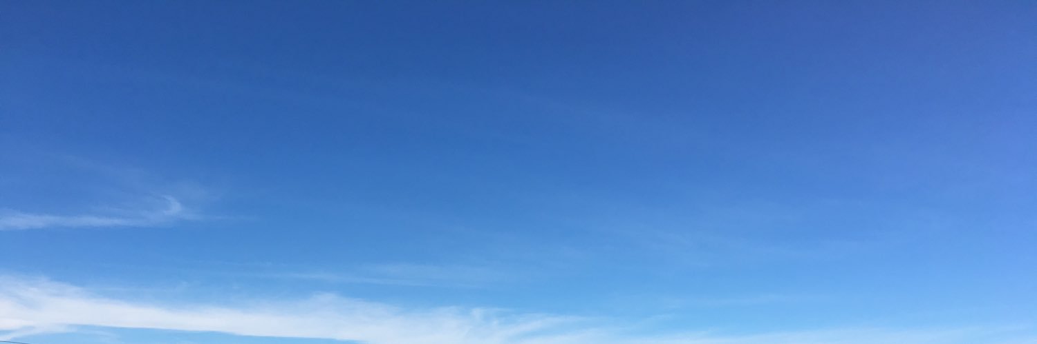DalgarnoMichael's profile banner image