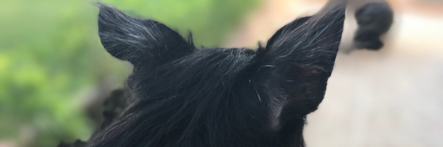 qki_18's profile banner image