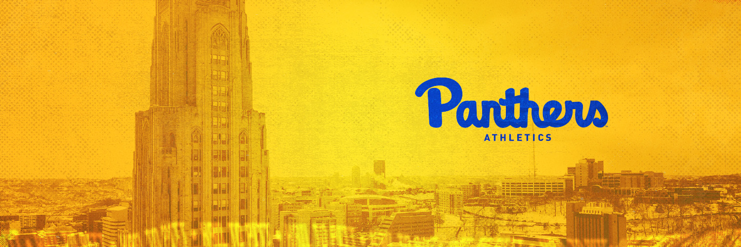 Pitt Panthers banner