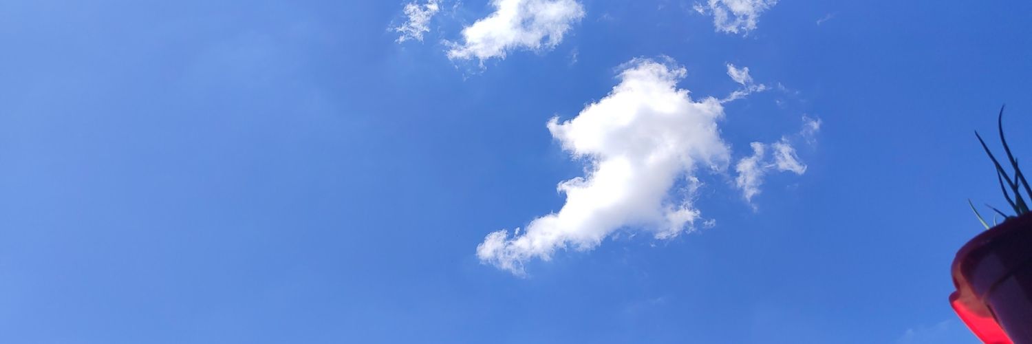 FerDinizPustbo's profile banner image