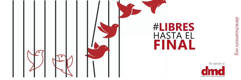 Fernando Marín banner