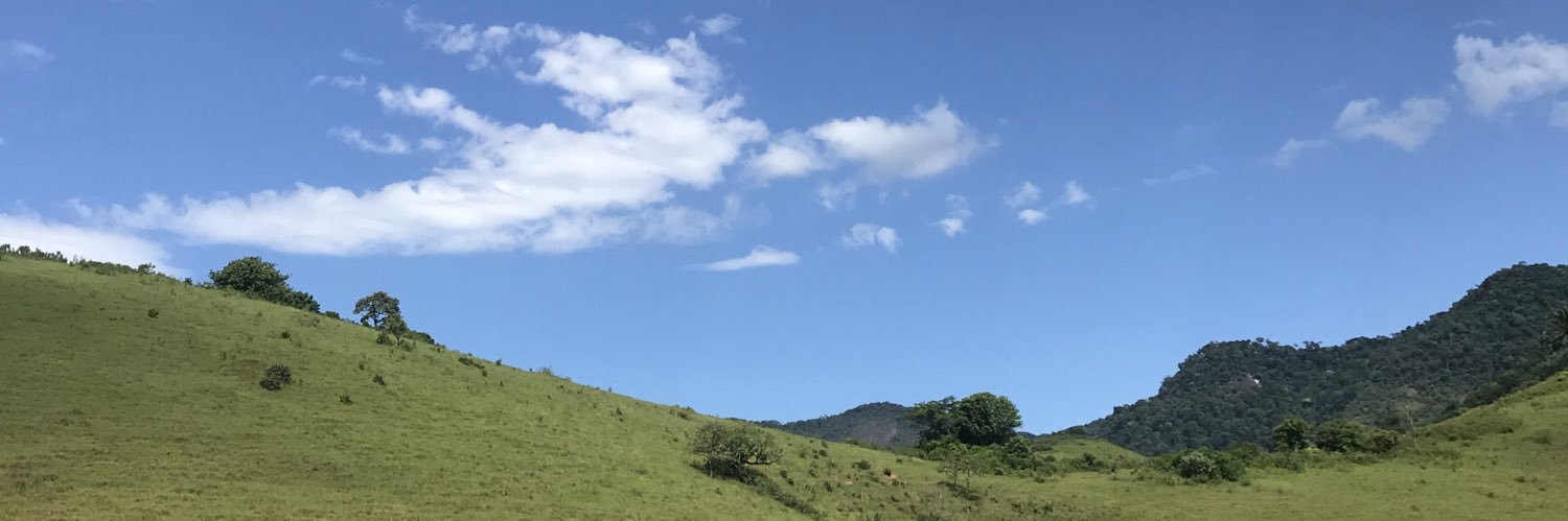 _danirangel_'s profile banner image