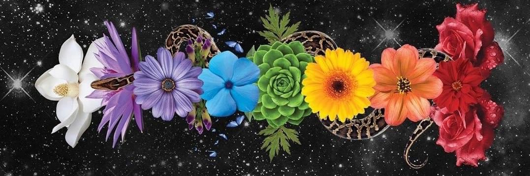 RAYLOVE94's profile banner image