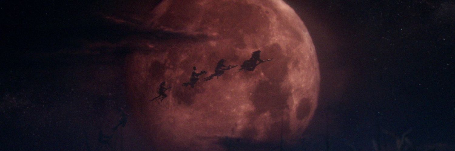 chispita🇦🇷 banner