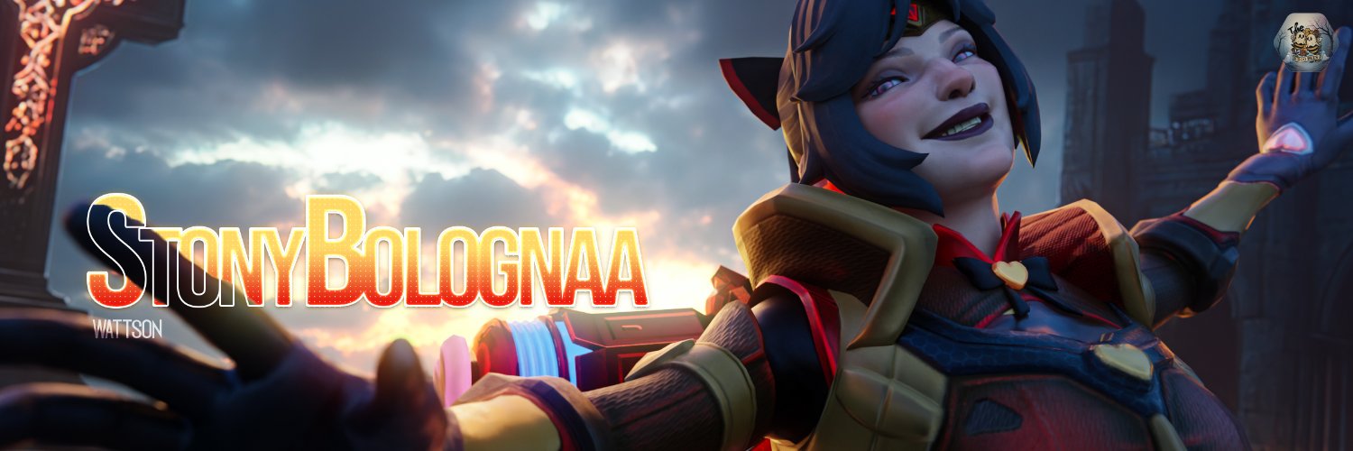 StonyBolognaa banner