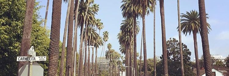 joshshepherd88's profile banner image