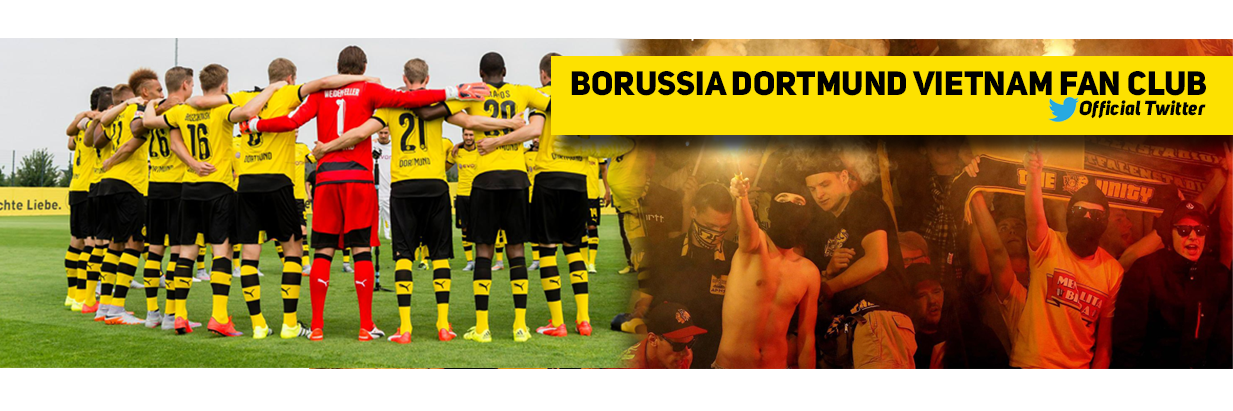 BVBVietnam's profile banner image