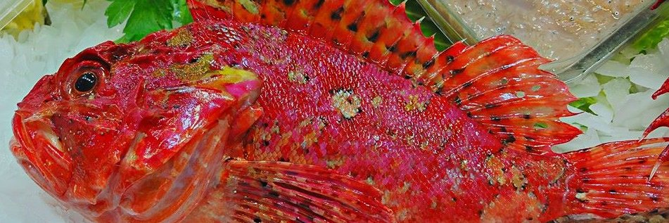 Alejandro Goñi banner
