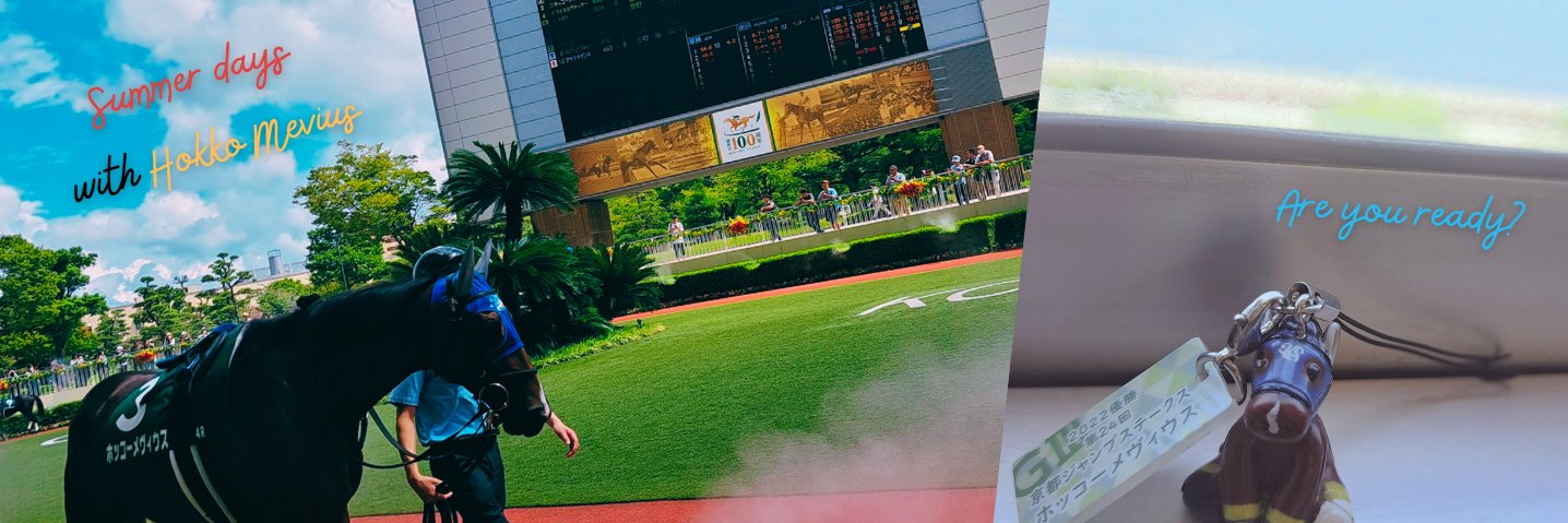 naka@障害競走 banner