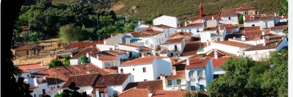 m.Ángeles Roncero banner