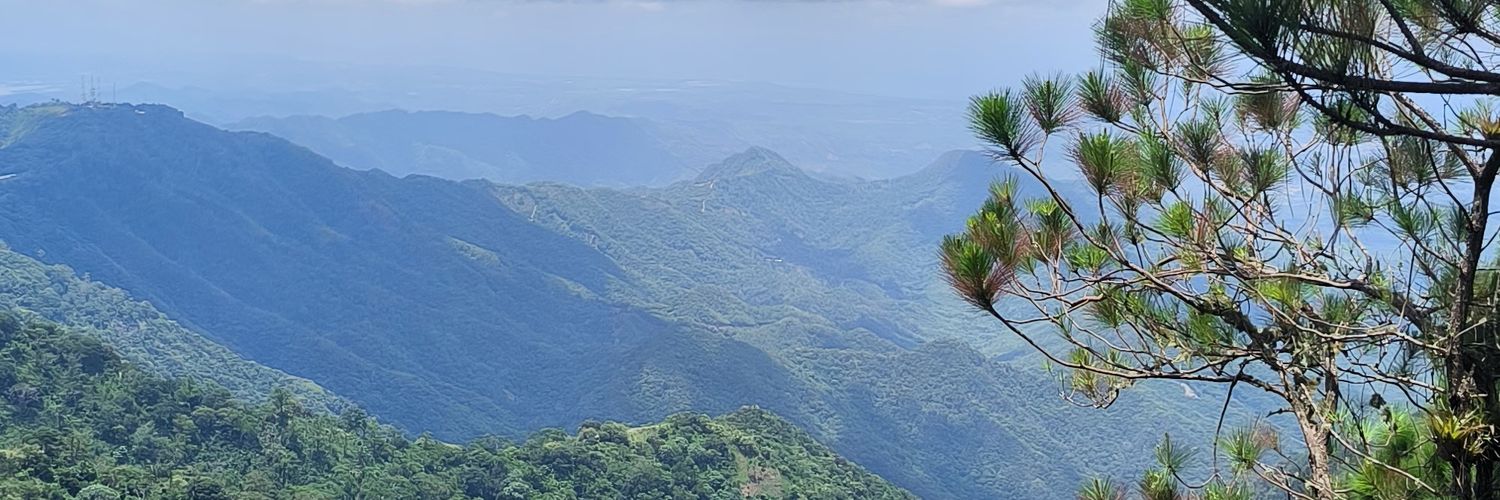 Anadell's profile banner image