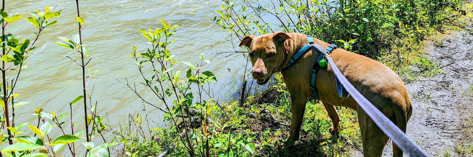 Kristina 🎉 banner