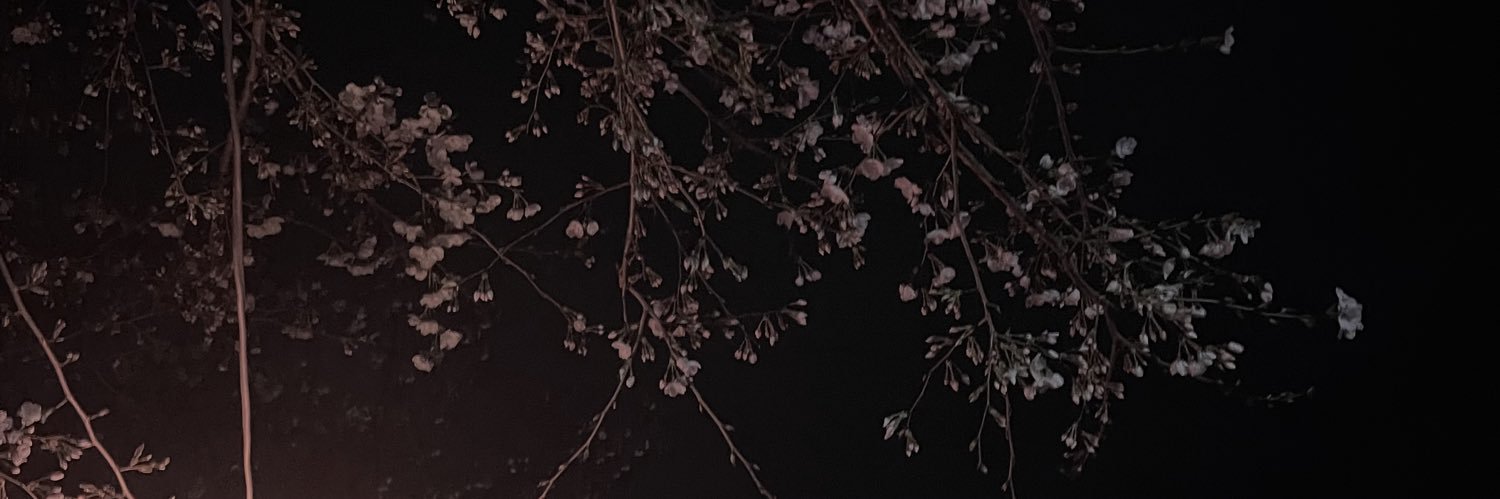 S2_ntst's profile banner image