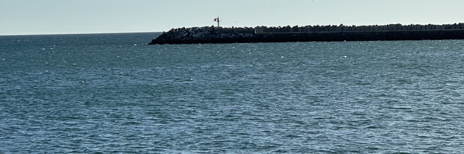 Gustavo Cañadas banner
