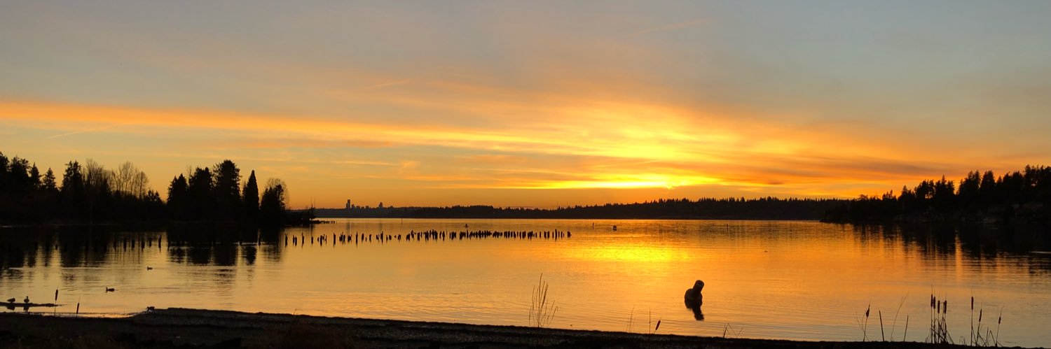 MyAntFarmX's profile banner image