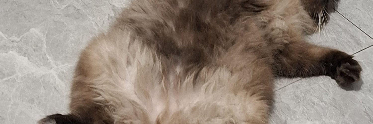 chulalalaa's profile banner image